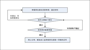 计算机系统集成企业资质认定与项目管理人员资质认证审查流程解析